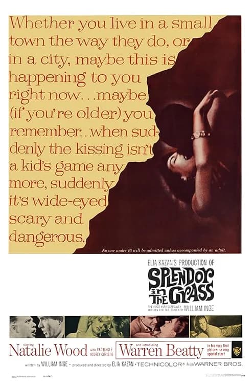 Splendor in the Grass film posteri